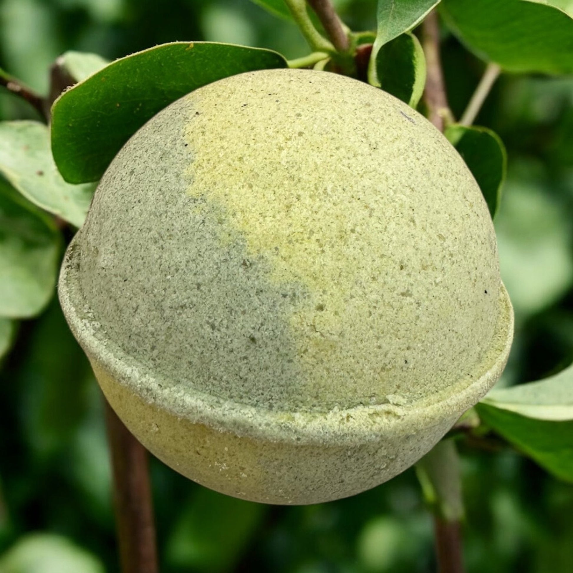 Cedarwood Smoked Pear Magnesium Bath Bomb - Forage & Soothe
