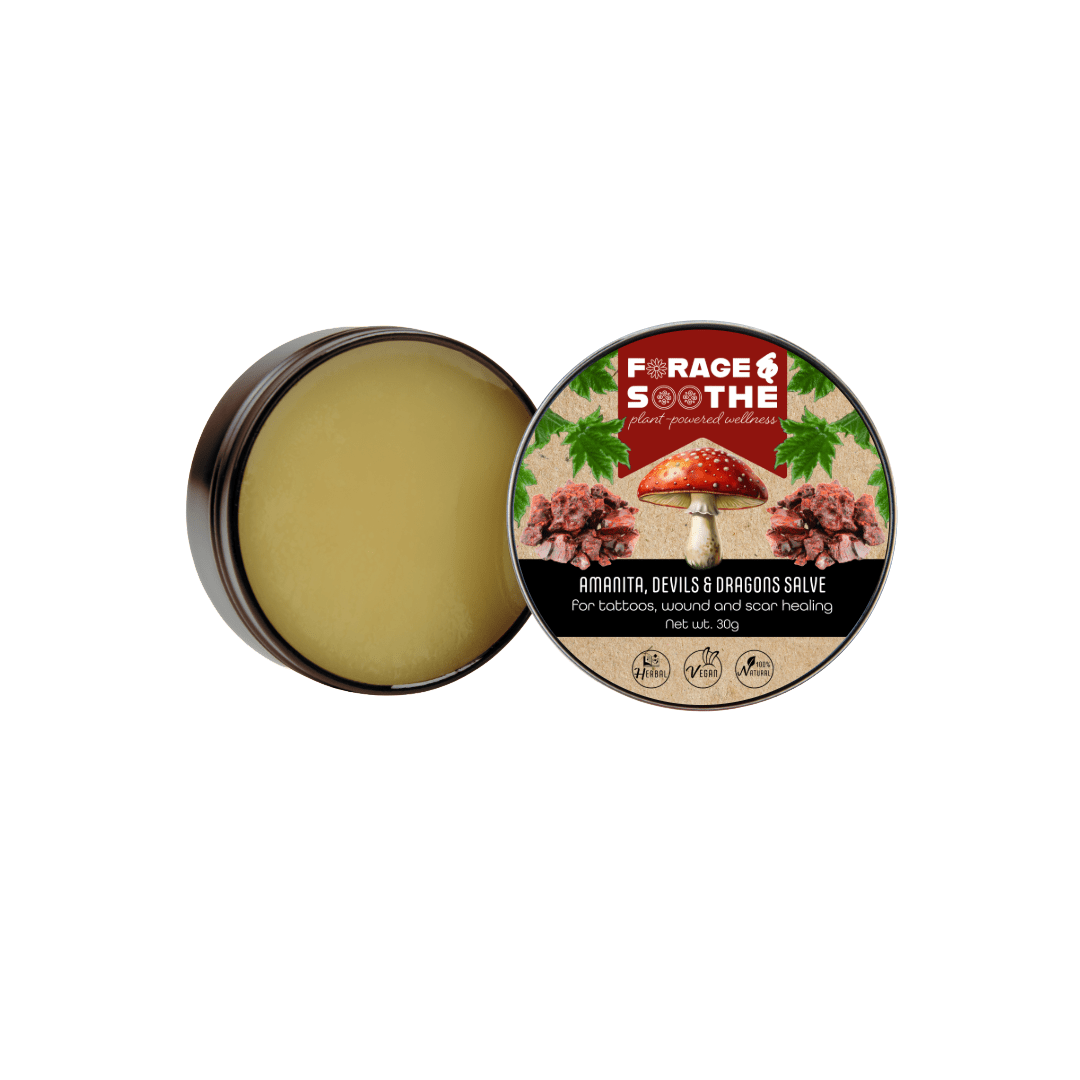 Amanita, Devils & Dragons Salve - Forage & Soothe