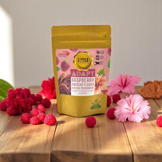 ADAPT Raspberry, Hibiscus & Reishi Mushroom Superfood Gummies - Forage & Soothe