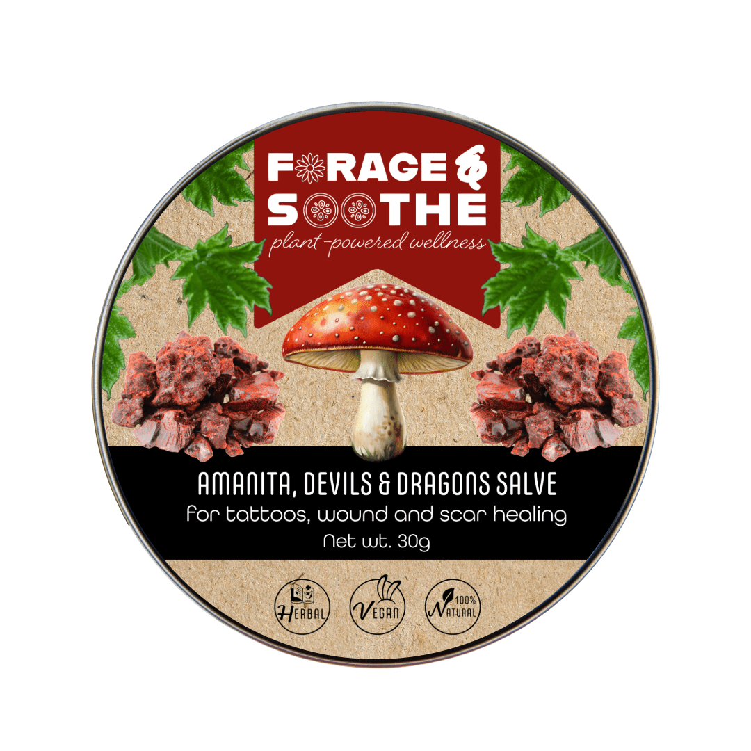 Amanita, Devils & Dragons Salve - Forage & Soothe