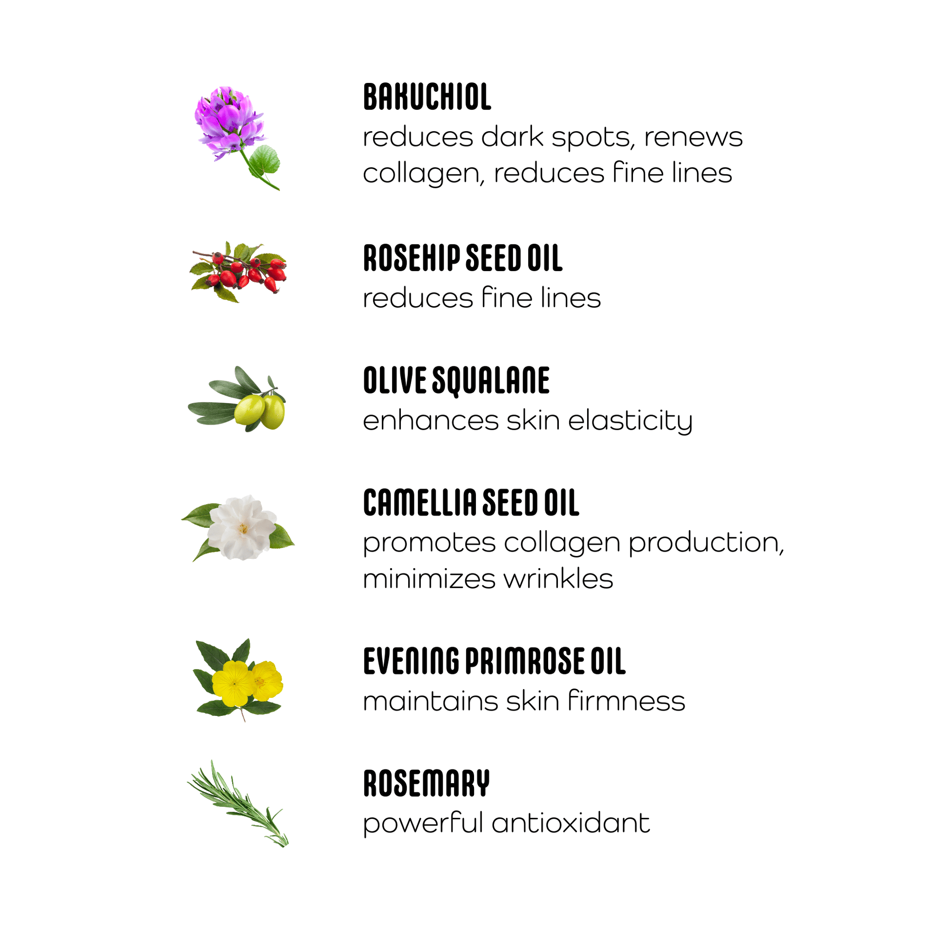 1% Bakuchiol Serum: Gentle Retinol Alternative for Everyday Use - Forage & Soothe