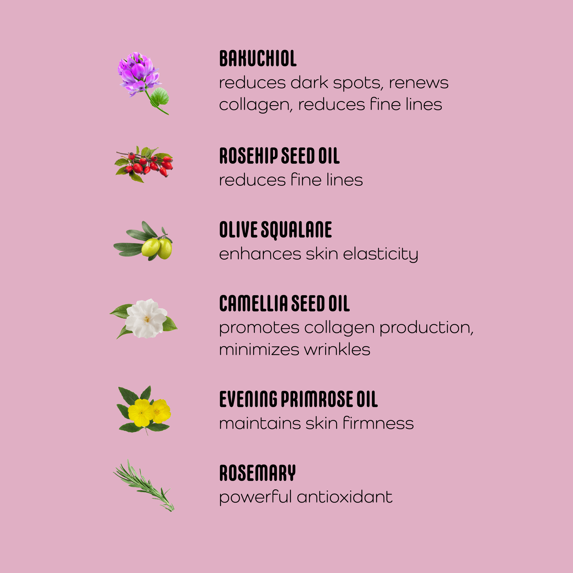 3% Bakuchiol Serum - Retinol Alternative for Sensitive Skin - Forage & Soothe