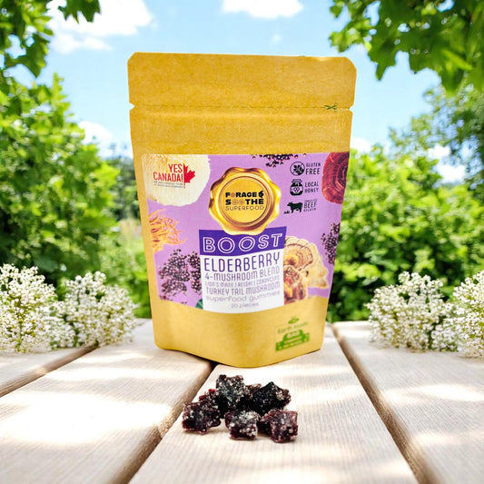 BOOST Elderberry & 4 - Mushroom Blend Superfood Gummies - Forage & Soothe