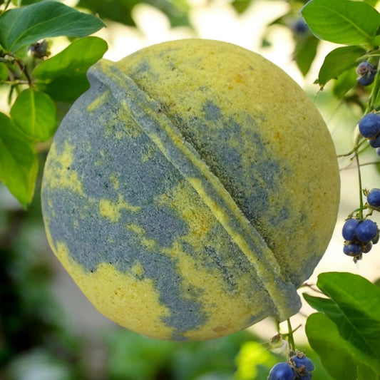 Blueberry Lemon *Magnesium* Bath Bomb - Forage & Soothe