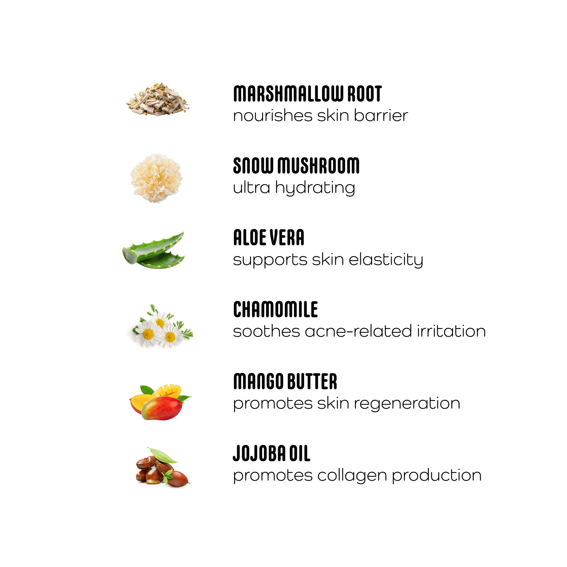 Marshmallow Mousse Face & Neck Cream - Forage & Soothe