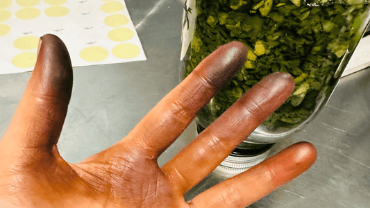 Gray Hair, Walnut Hulls, Foti Root, and an Evolving Definition - Forage & Soothe