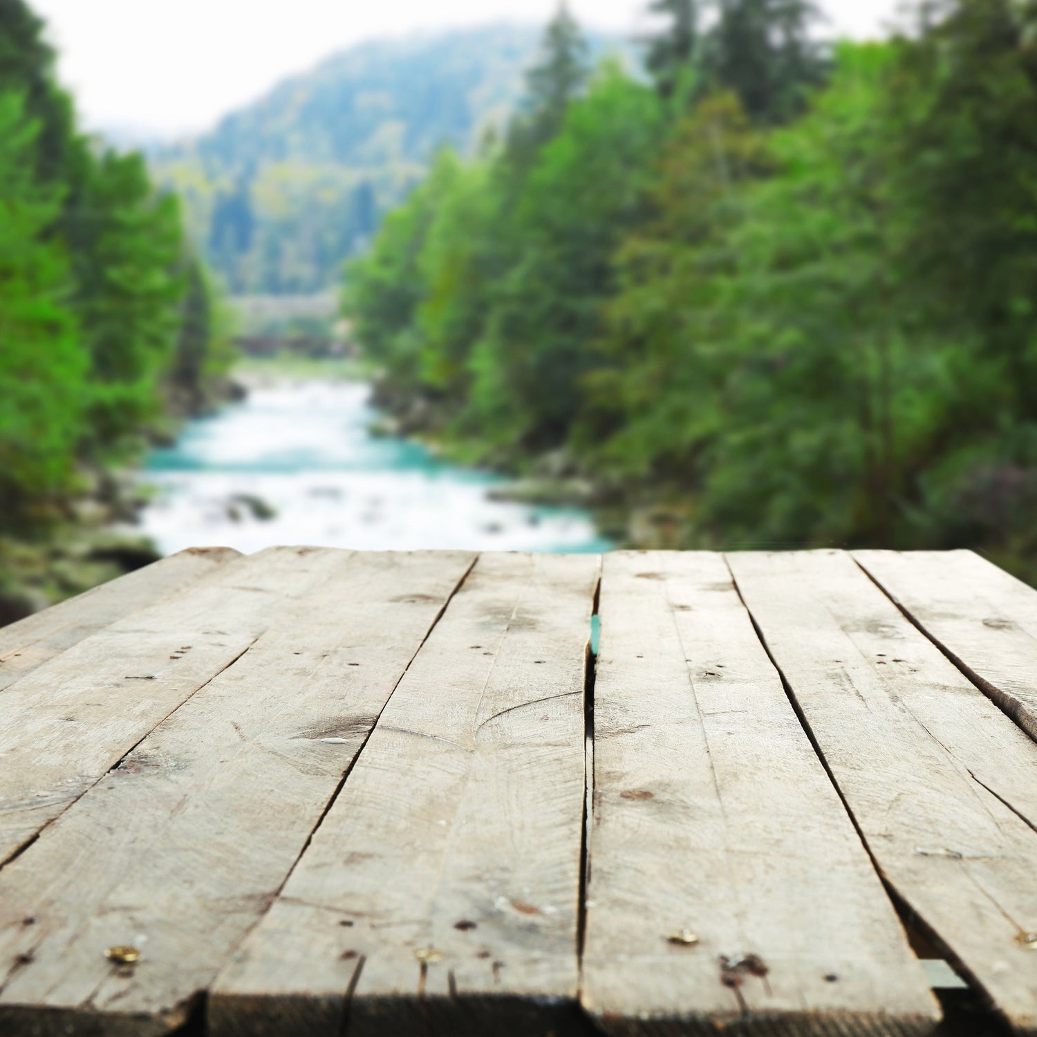 Shop All - Forage & Soothe