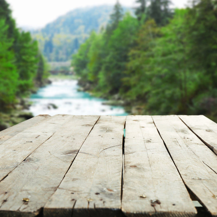 Shop All - Forage & Soothe