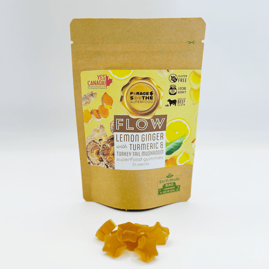 FLOW Lemon Ginger with Turmeric & Turkey Tail Mushroom Superfood Gummies - Forage & Soothe