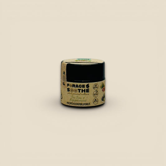 Tea Tree & Peppermint Pine Pitch & Castor Lip Balm - Forage & Soothe
